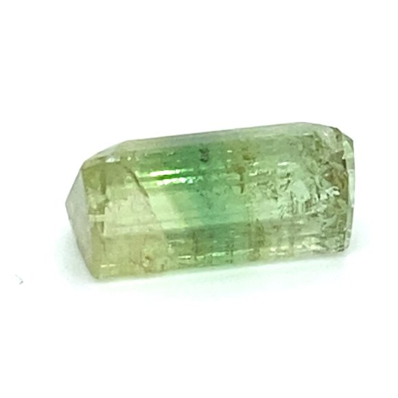 BiColor Tourmaline 9.20ct - Picture 7 of 8